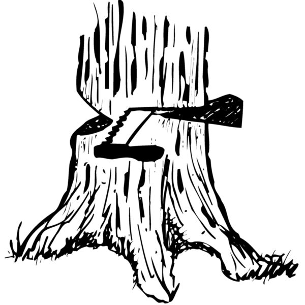 TIMBER13 Thumbnail