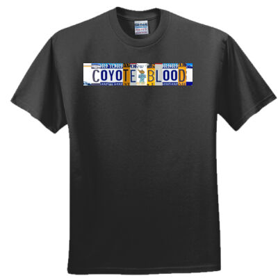 New York License Plate Thumbnail