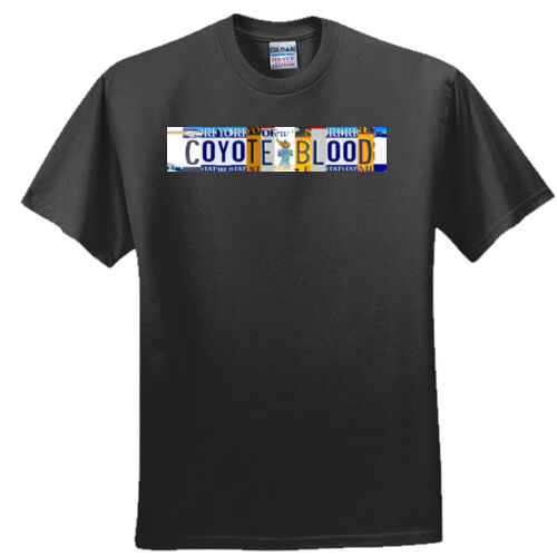 New York License Plate Thumbnail