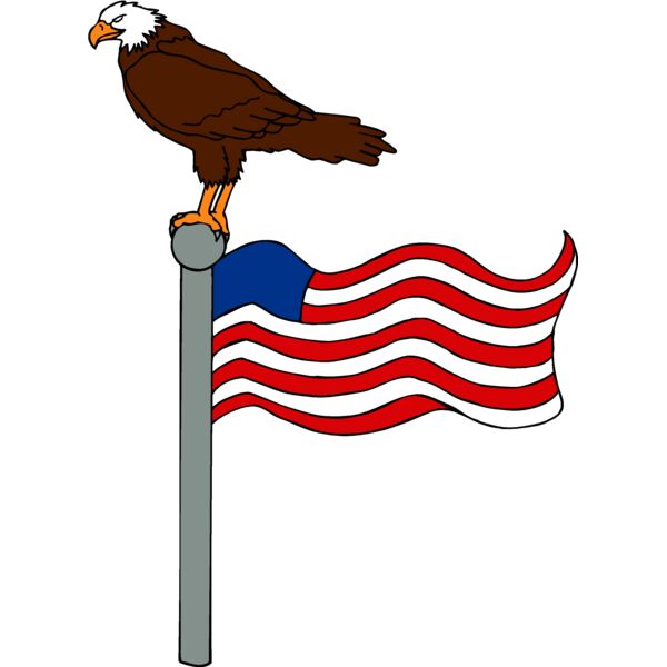 eagleandflag1 Thumbnail