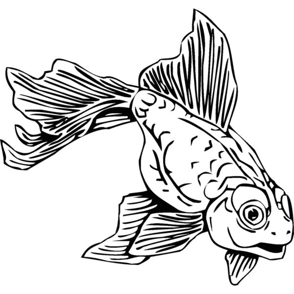 goldfish02 Thumbnail