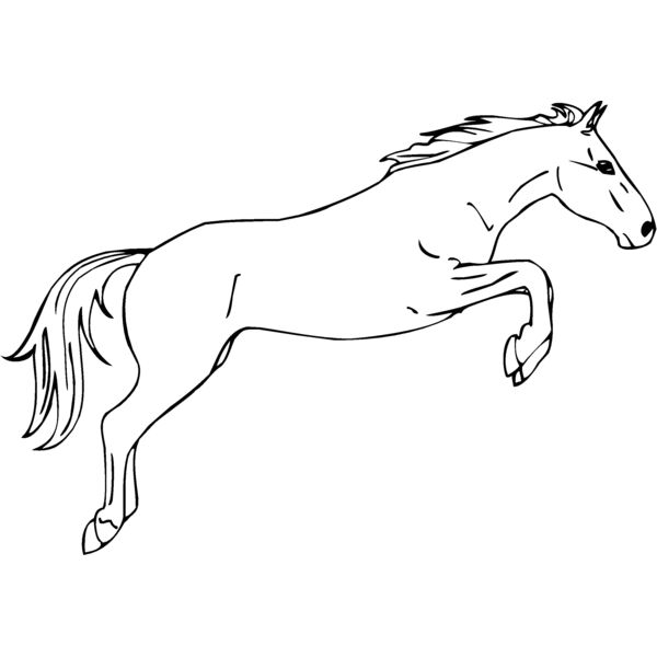 horse12 Thumbnail