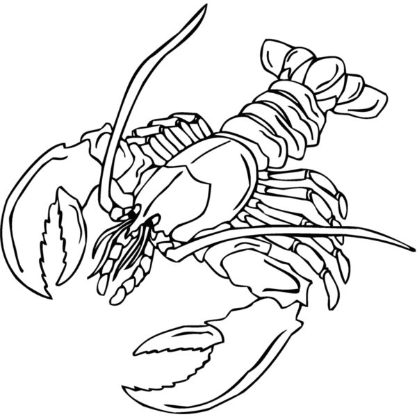 lobster2 Thumbnail