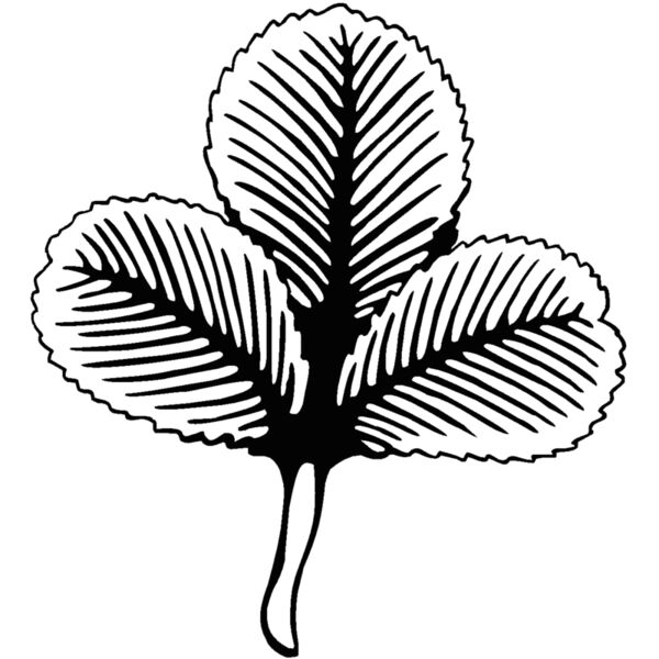 3leafclover Thumbnail