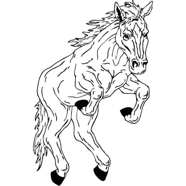 horse9 Thumbnail
