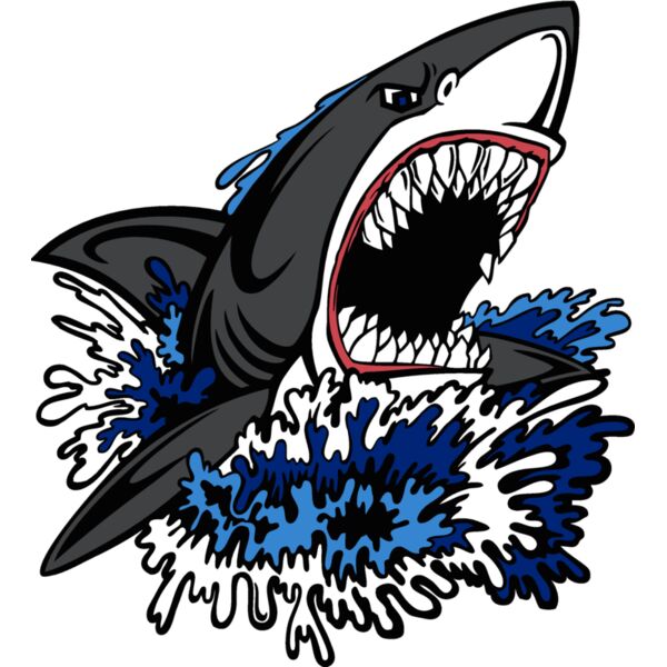 shark06v4clr Thumbnail