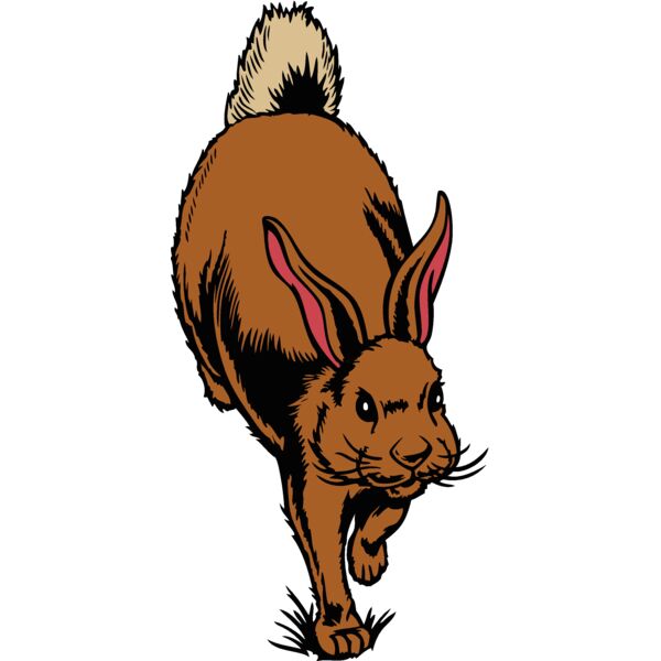 rabbit03v4clr Thumbnail