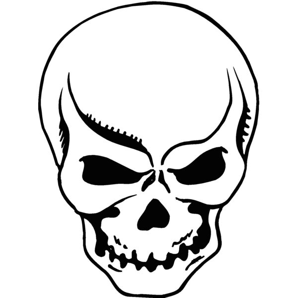 skull Thumbnail