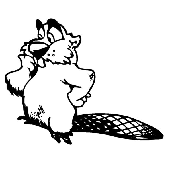 beaver4 Thumbnail