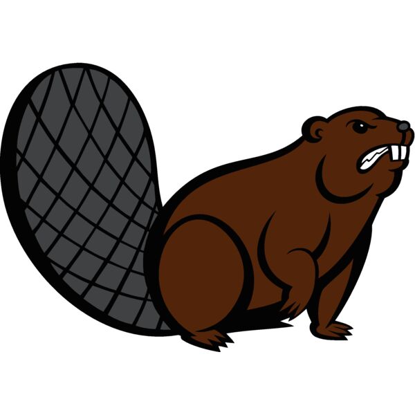 beaver8 Thumbnail
