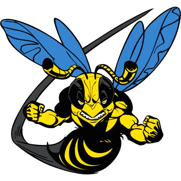 yellwjacket1 Thumbnail