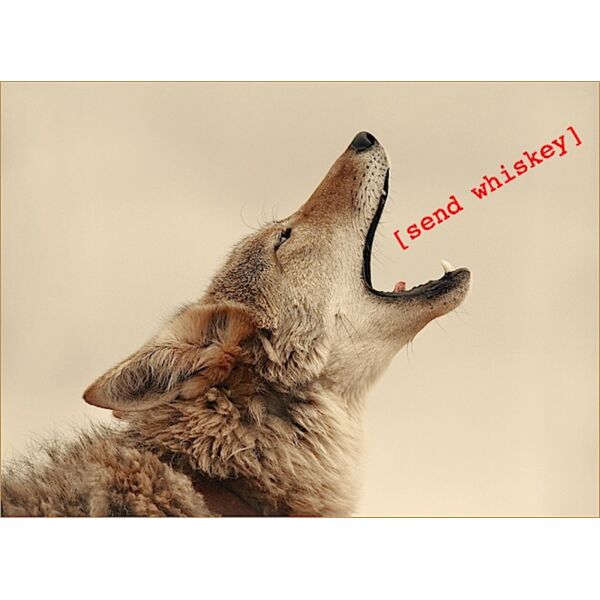 send whiskey Thumbnail