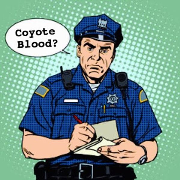 29141f4d b0a3 4ecf b382 8bddd2af7ebf Thumbnail